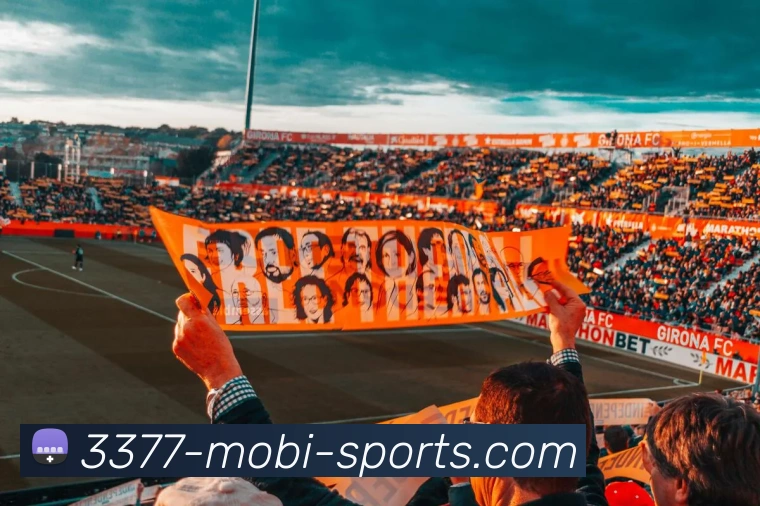 3377体育品牌故事