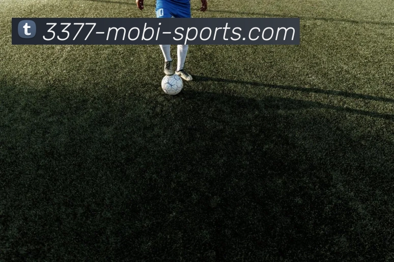 3377体育服务体系